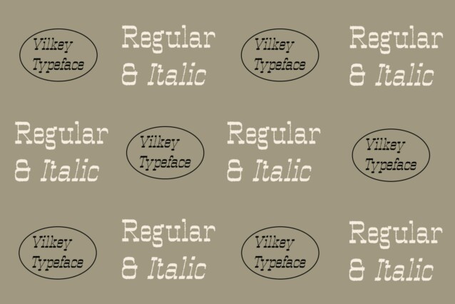 Vilkey Rough Font preview image 2