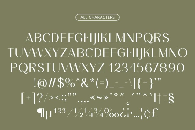 Ameda Rounded Font preview image 5