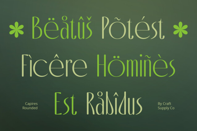 Capires Rounded Font preview image 4