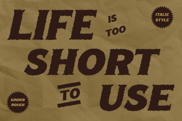 Ginder Rough Font preview image 2