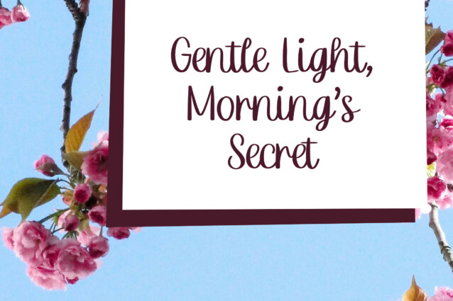 Crown Quil Script Font preview image 3