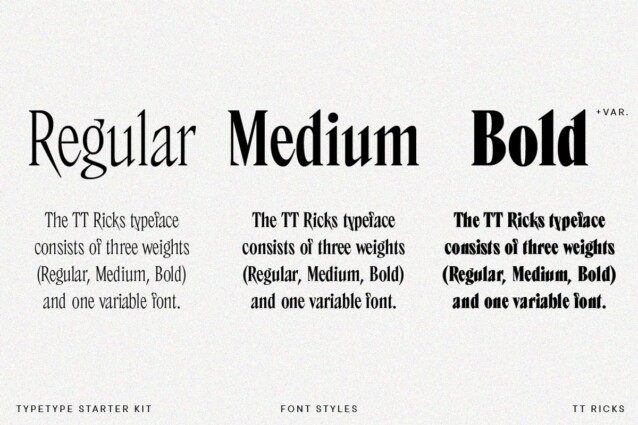 TT Ricks Font preview image 3