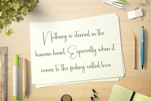 Buttergarlic Script Font preview image 4