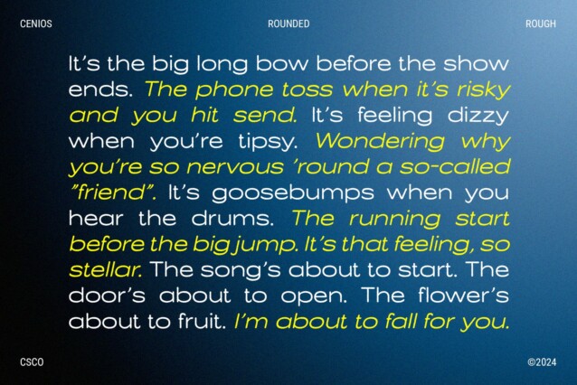 Cenios Rounded Rough Font preview image 2