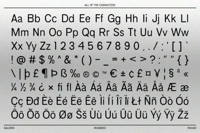 Galdien Rounded Rough Font preview image 5