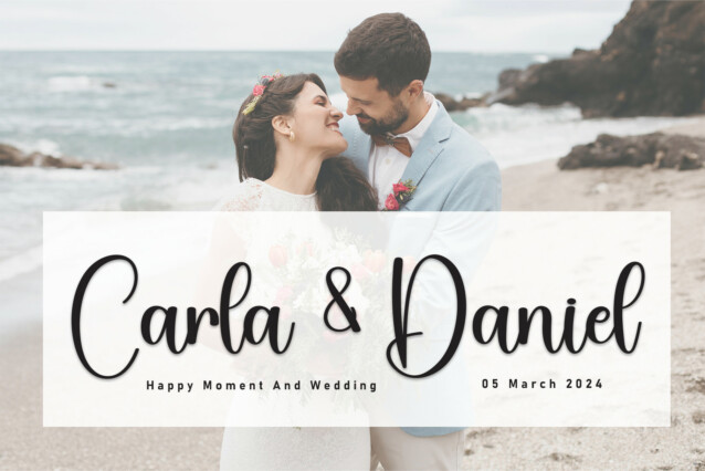 Somebody Script Font preview image 2