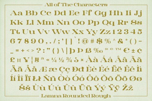 Lamna Rounded Rough Font preview image 5