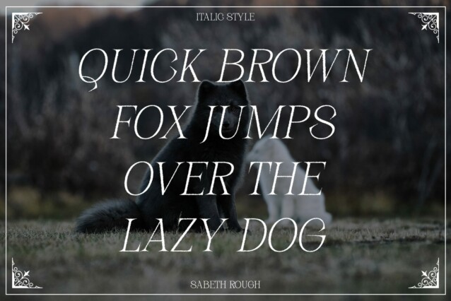 Sabeth Rough Font preview image 2
