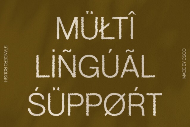 Standerd Rough Font preview image 4