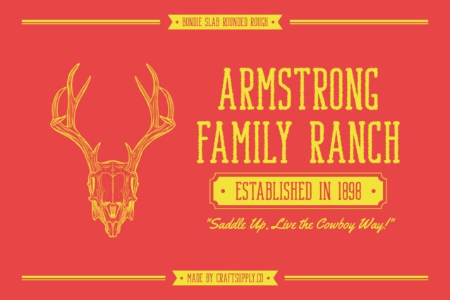 Bondie Slab Rounded Rough Font preview image 3