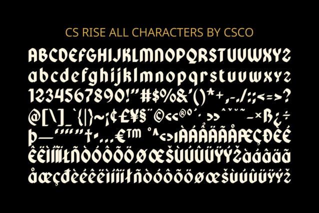 CS Rise Font preview image 5