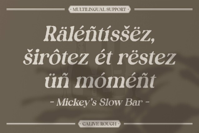 Calive Rough Font preview image 4