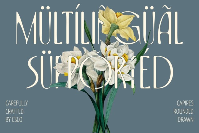 Capires Rounded Drawn Font preview image 4