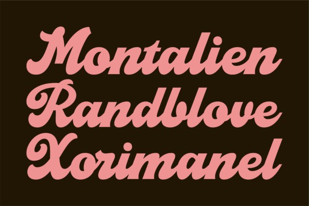 Fontega Script Font preview image 5