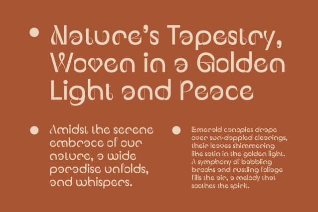 CS Riona Font preview image 3