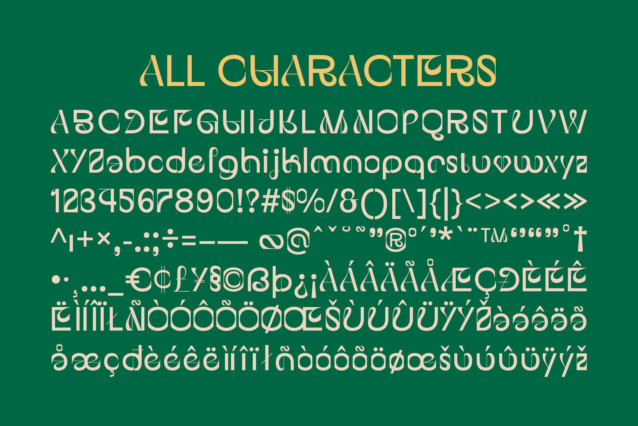 CS Riona Font preview image 5