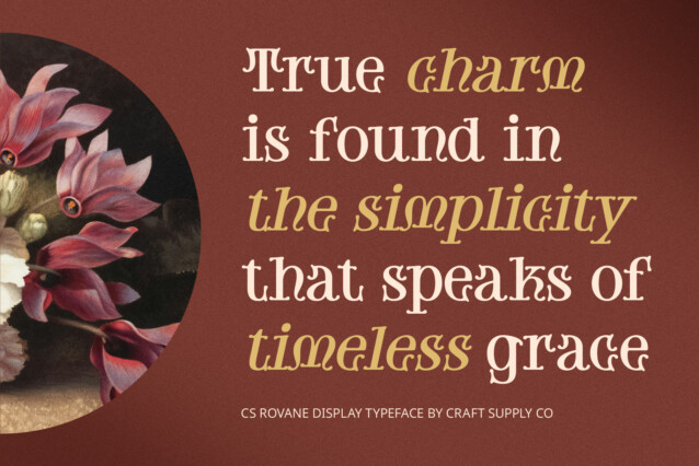CS Rovane Font preview image 2