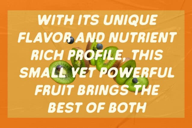 Derian Rounded Font preview image 3
