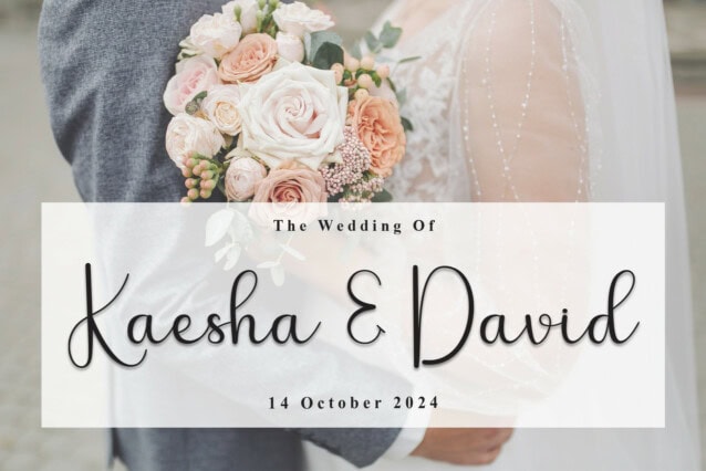 Frosty Winter Script Font preview image 2