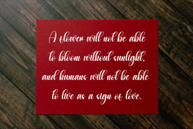 Simplicity Script Font preview image 3
