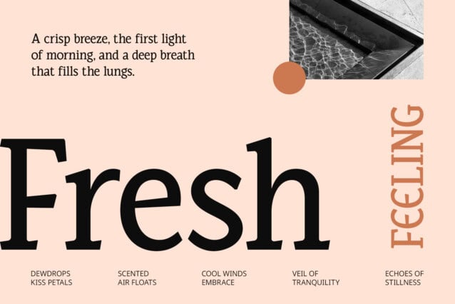 CS Rhesa Font preview image 2