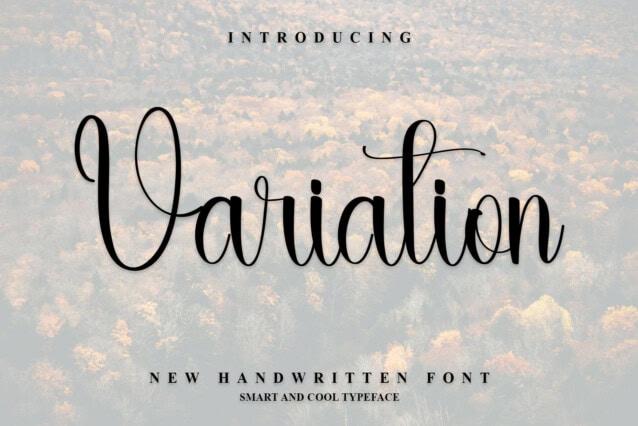 Variation Script Font