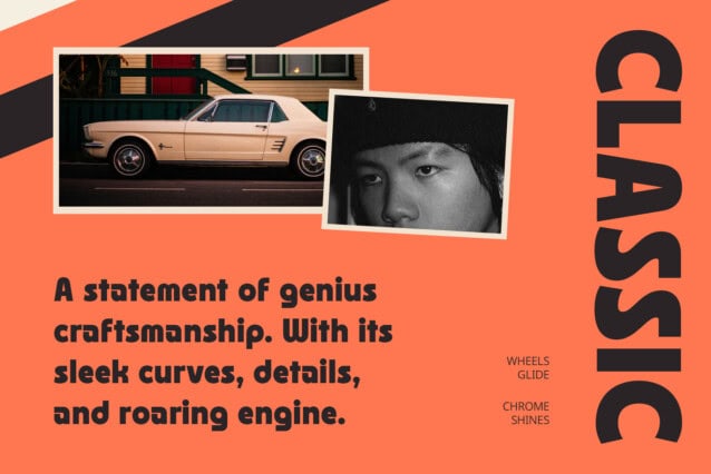 CS Ragout Font preview image 2