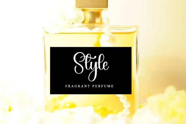 Signature Script Font preview image 4