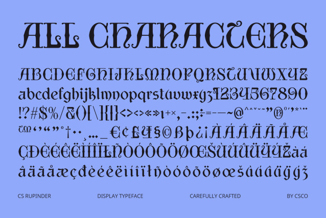 CS Rupinder Font preview image 5