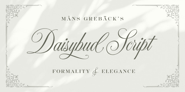 Daisybud Script Font