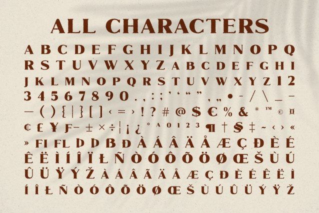 Marques Rounded Rough Font preview image 5