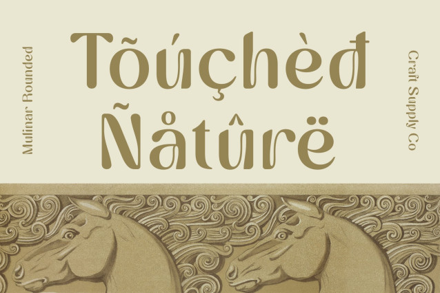 Mulinar Rounded Font preview image 4