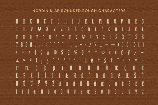 Nordin Slab Rounded Rough Font preview image 5