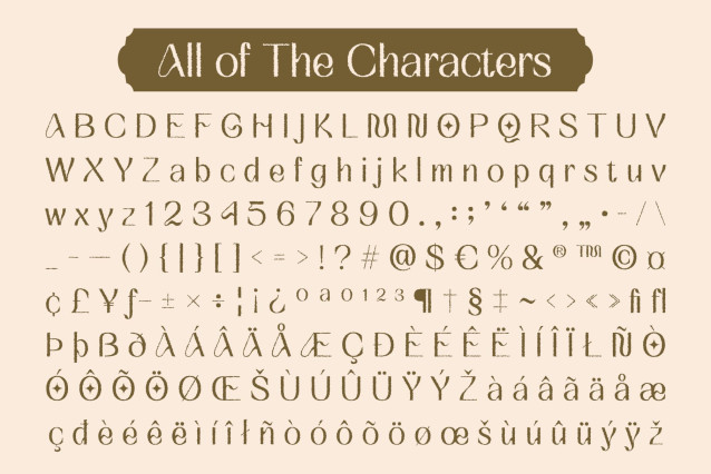 Quency Rough Font preview image 5