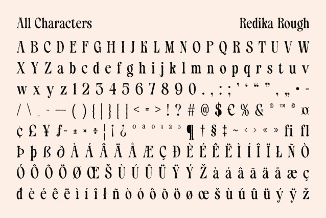 Redika Rough Font preview image 5