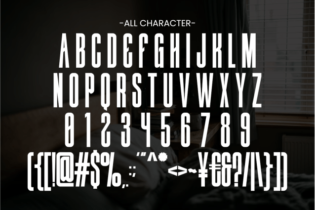 Nothing Sans Sirif Font preview image 2