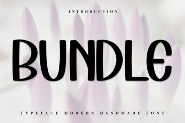 Bundle Modern Script Font