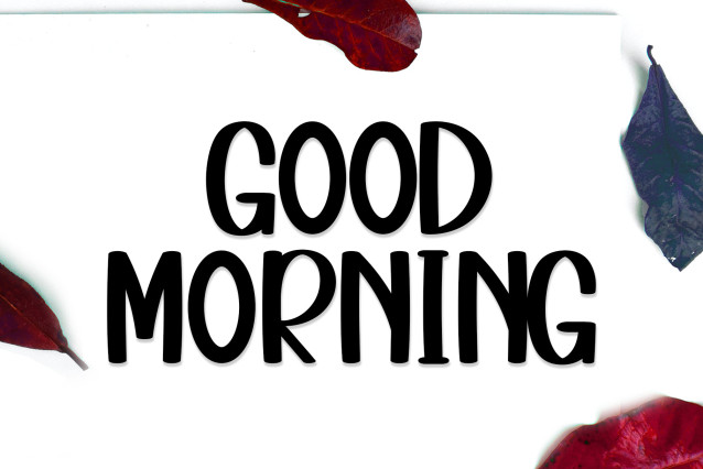 Bundle Modern Script Font preview image 3