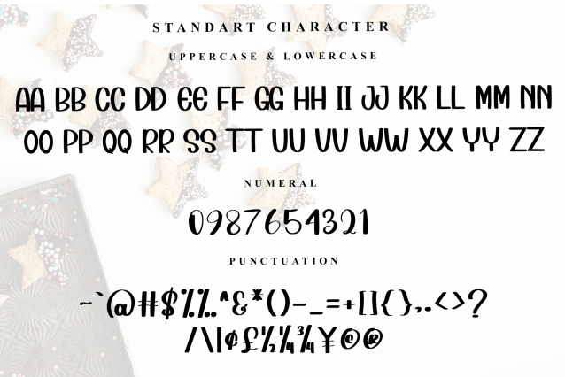 Bundle Modern Script Font preview image 5