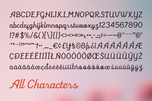 CS Rafles Font preview image 5