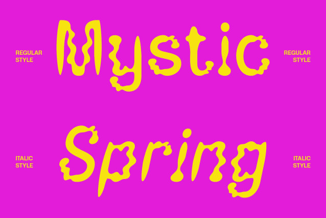 CS Rigore Drawn Font preview image 2