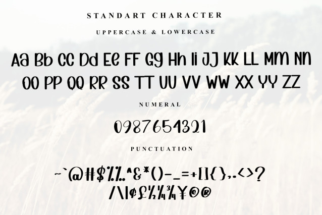 Simple Note Script Font preview image 5