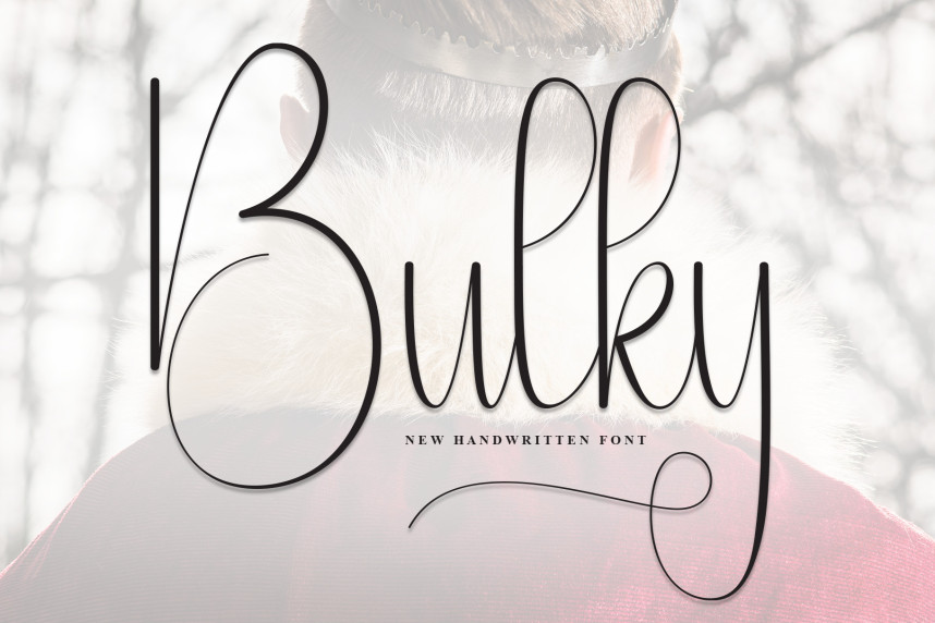 Bulky Script Handwritten Font