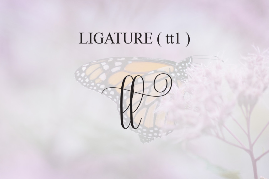 Butterfly Script Handwritten Font preview image 5