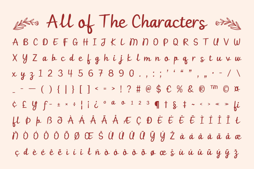 CS Ricotta Font preview image 5