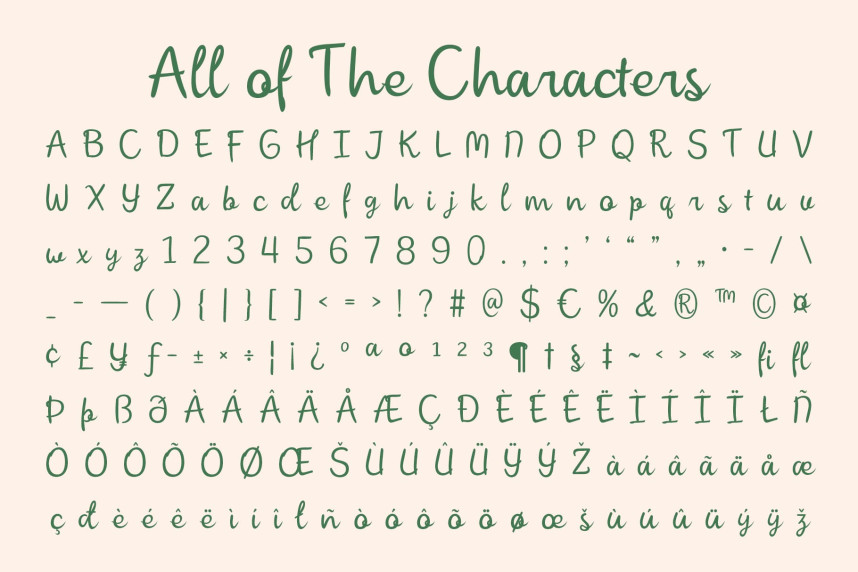 CS Ringo Font preview image 5