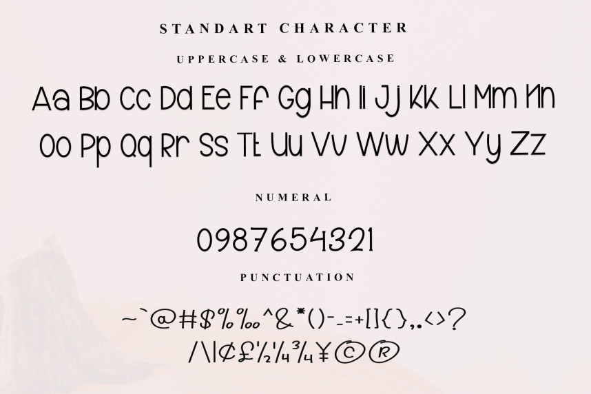 Collection Script Font preview image 5