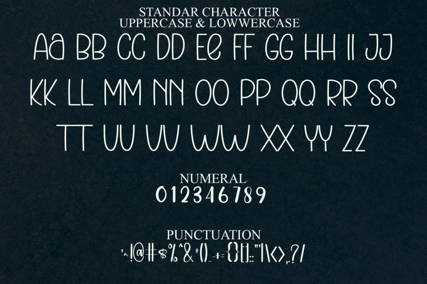 Perfect Script Handwritten Font preview image 3