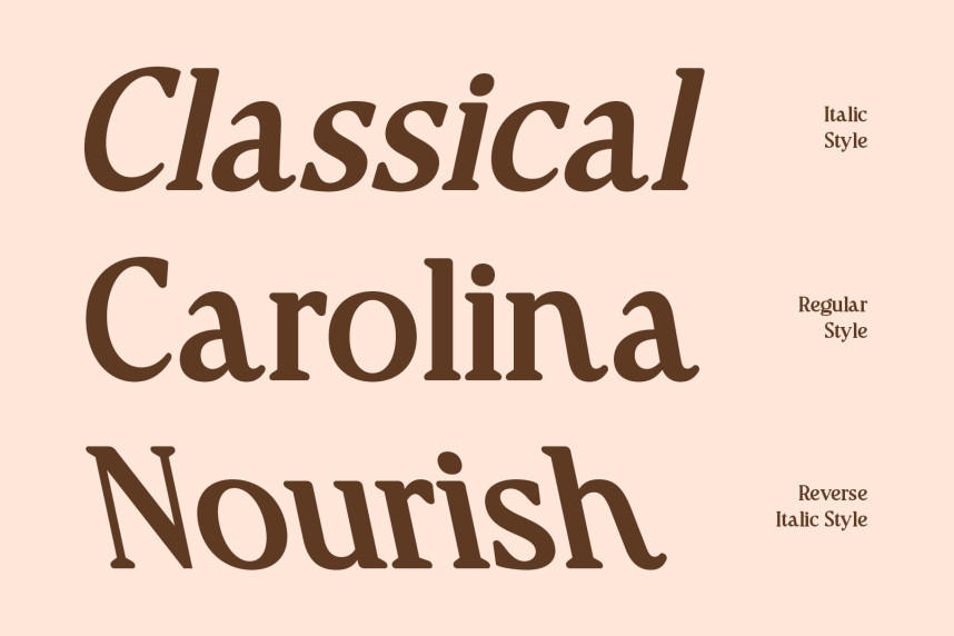 CS Raluca Font preview image 2