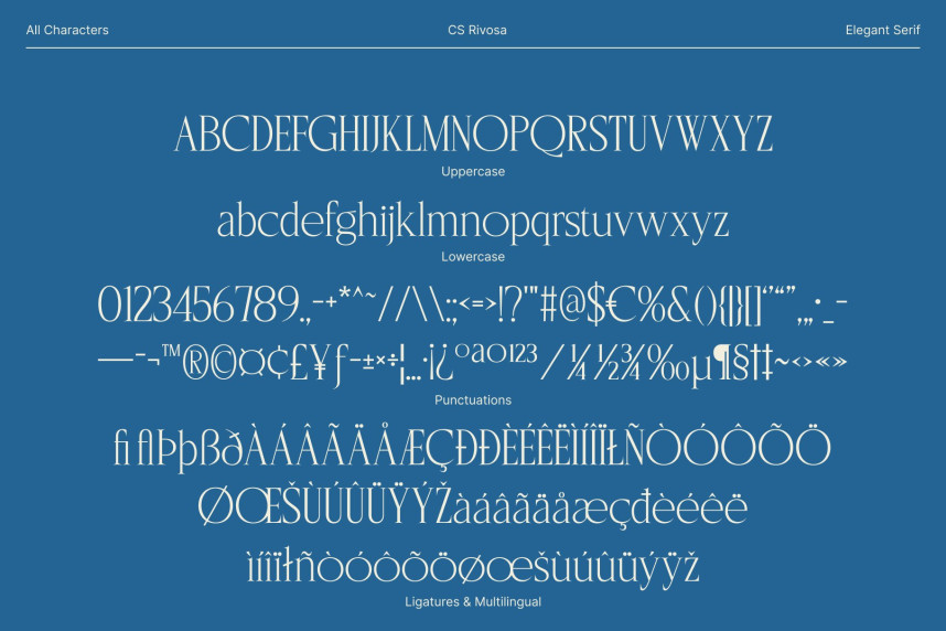 CS Rivosa Font preview image 5